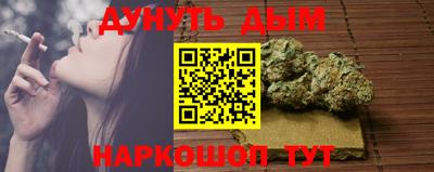 ешки Новодвинск