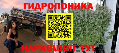 ешки Новодвинск