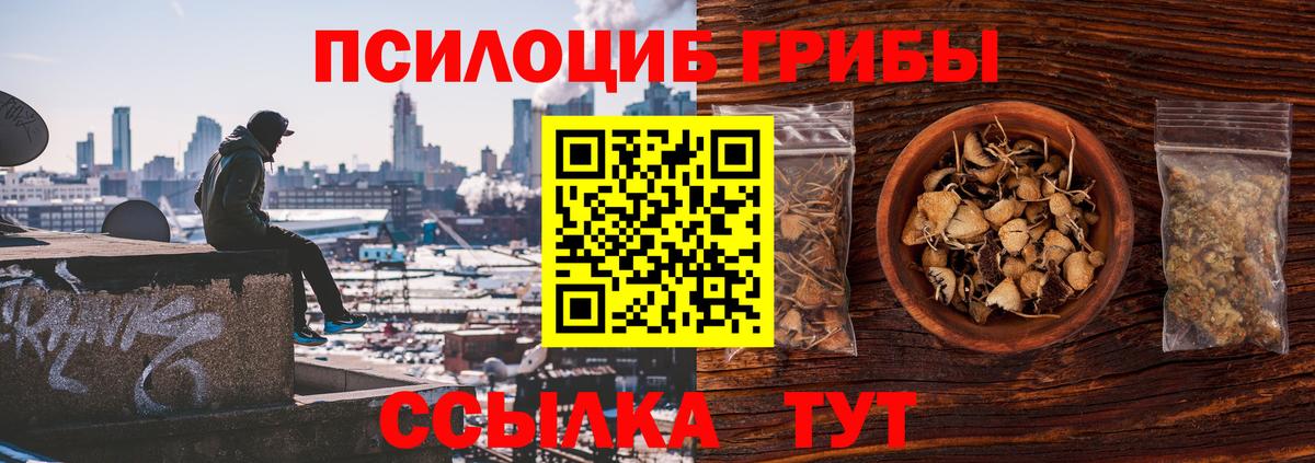 Псилоцибиновые грибы Cubensis  Вход с VPN  купить  цена  Чапаевск 